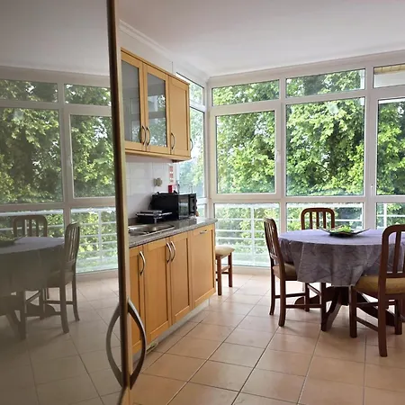Andorinhas Monção